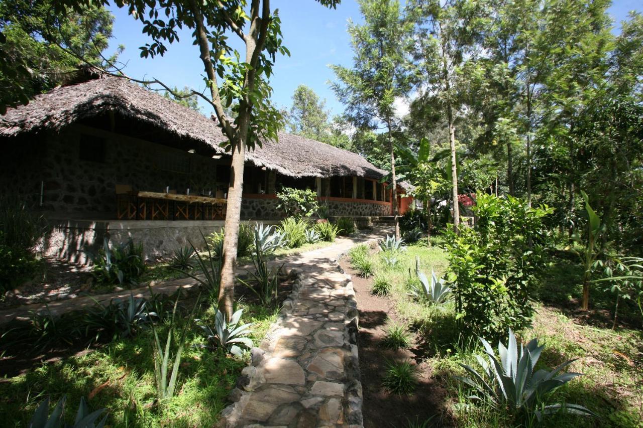 Kiboko Lodge Usa River Room photo